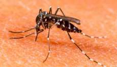 Quedas - Sobe para 18 os casos confirmados de Dengue no munic&iacute;pio