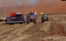 Safra brasileira deve fechar o ano com crescimento de 30,4%, estima IBGE