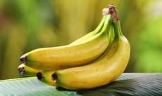 Saiba como fazer com que bananas amadure&ccedil;am mais ou menos r&aacute;pido