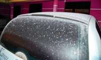 Guarapuava registra menor temperatura desta quinta, dia 28 no Paraná