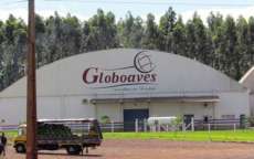 Globoaves prop&otilde;e venda de patrim&ocirc;nio e leil&atilde;o para pagar d&iacute;vidas