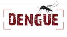 Pinh&atilde;o - Secretaria de Sa&uacute;de confirma primeiro caso de dengue