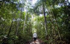 Uso eficiente de recursos naturais pode injetar US$ 2 tri na economia