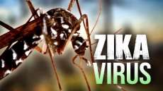 Minist&eacute;rio da Sa&uacute;de confirma circula&ccedil;&atilde;o do zika em todo o Pa&iacute;s