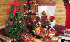 Nova Laranjeiras - Cras oferece curso de decora&ccedil;&otilde;es natalinas
