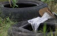 Paraná faz “Dia D” no combate à dengue