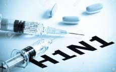 171 mortes por H1N1 j&aacute; foram registradas no Paran&aacute;