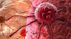 Novo tratamento contra c&acirc;ncer d&aacute; esperan&ccedil;a a pacientes com leucemia terminal