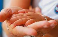 Pinh&atilde;o - Curso preparat&oacute;rio para ado&ccedil;&atilde;o