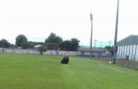 Pinh&atilde;o - Complexo esportivo come&ccedil;a a receber manuten&ccedil;&atilde;o