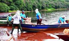 Mutir&atilde;o retira lixo do lago de Itaipu