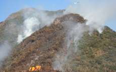 Clima aumenta riscos de inc&ecirc;ndios florestais