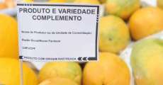 Frutas, verduras e legumes vendidos a granel ou embalados ser&atilde;o rotulados em todo o Paran&aacute;
