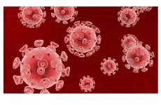 Cientistas americanos conseguem eliminar HIV do corpo de animais