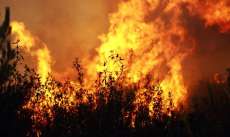 Na onda de calor, Paran&aacute; registra 61 Inc&ecirc;ndios ambientais por dia