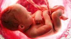Cord&atilde;o umbilical &eacute; o primeiro brinquedo do beb&ecirc;. Confira!