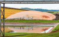 Paraná tem carro movido a titica de galinha