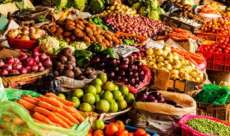 Quer saber como enriquecer sua dieta com fibras?