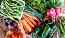 Cand&oacute;i - Nesta sexta, dia 31 acontece a Feira da Agricultura Familiar