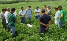 Com apoio da Emater, produtores de soja reduzem uso de agrot&oacute;xicos