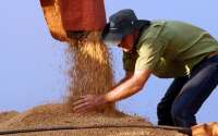 Paraná volta ao topo da produtividade em milho e soja
