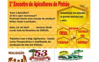 Pinh&atilde;o - Secretaria de Agricultura realiza 1&ordm; Encontro de Apicultores