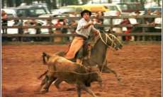 Pinh&atilde;o - Encontro Estadual de Sele&ccedil;&otilde;es Campeiras far&aacute; parte das comemora&ccedil;&otilde;es de 50 anos da cidade
