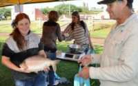 Laranjeiras - Com apoio da prefeitura produtores esperam vender quase sete toneladas de peixes na Semana Santa