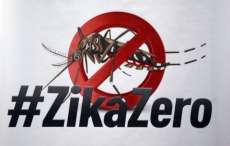 Zika: diretora-geral da OMS visita o Brasil esta semana
