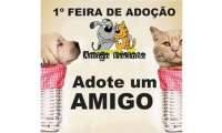 Quedas - Dia 08 de novembro acontece a 1&ordf; Feira de Ado&ccedil;&atilde;o de Animais. Venha encontrar seu novo amigo