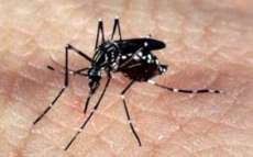 Semana de combate ao Aedes aegypti mobiliza mais de 210 mil institui&ccedil;&otilde;es
