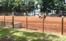 Catanduvas - Come&ccedil;a nesta sexta dia 27, o 26&ordm; Rodeio Crioulo Interestadual