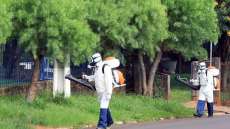 Laranjeiras - Semusa n&atilde;o confirma casos de dengue no munic&iacute;pio, mas convoca popula&ccedil;&atilde;o para eliminar criadouros do mosquito