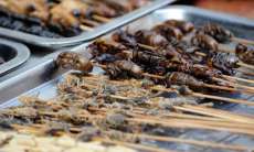 Ser&aacute; que comer insetos far&aacute; parte do nosso futuro?