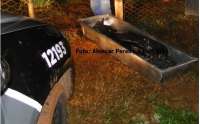 Foto - Alencar Pereira (Portal RBJ)
