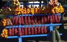 Colheita e venda do pinh&atilde;o s&atilde;o proibidas at&eacute; sexta-feira