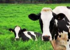 Nova Laranjeiras - Est&atilde;o abertas as inscri&ccedil;&otilde;es para o Pacote Agr&iacute;cola de Inverno da Secretaria de Agricultura e Meio Ambiente