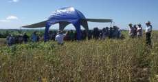 Tr&ecirc;s Barras - Casa Familiar Rural supera expectativas na safra de soja
