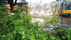 Paran&aacute; pode ter chuva forte at&eacute; o feriado