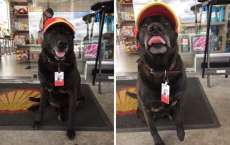 C&atilde;o trabalha como frentista em posto