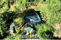 Guaraniaçu - Ultrapassagem forçada faz outro veículo sair da pista e cair em barranco