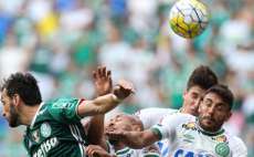 Palmeiras n&atilde;o jogar&aacute; com a camisa da Chapecoense na &uacute;ltima rodada do Brasileir&atilde;o