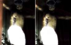 Est&aacute;tua de Jesus Cristo &lsquo;abre os olhos&rsquo; e intriga internautas.Veja o v&iacute;deo!