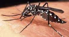Guarania&ccedil;u - Munic&iacute;pio realiza Mutir&atilde;o de Limpeza no combate ao Aedes Aegypti