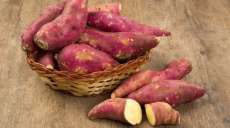 Batata doce &eacute; mais cal&oacute;rica que a inglesa, mas pode ajudar mais na dieta; entenda