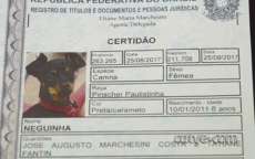 Cart&oacute;rio de Cascavel registra a primeira certid&atilde;o animal
