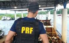 Dupla &eacute; presa no Paran&aacute; com duas toneladas de maconha em carga de sucata