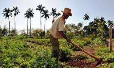 Agricultor, um her&oacute;i - 28 de julho. Parab&eacute;ns pelo seu dia