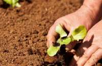 Palmital, Goioxim e Laranjeiras estão entre as cidades que receberam recursos do Ministério do Desenvolvimento Agrario