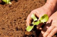 Palmital, Goioxim e Laranjeiras est&atilde;o entre as cidades que receberam recursos do Minist&eacute;rio do Desenvolvimento Agrario